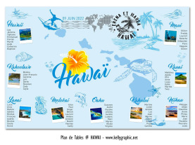 plan de table mariage Hawaï personnalisé surf volcan îles Pacifique