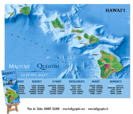 plan de table mariage Hawaï carte Pacifique Oahu Maui Big Island voyage