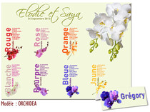 Plan de Table Orchidées